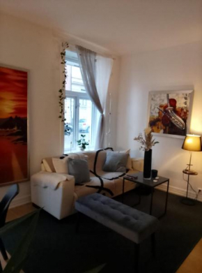 KINGSIZE BED plus SINGLEBED FULL APARTMENT OSLO CENTRAL